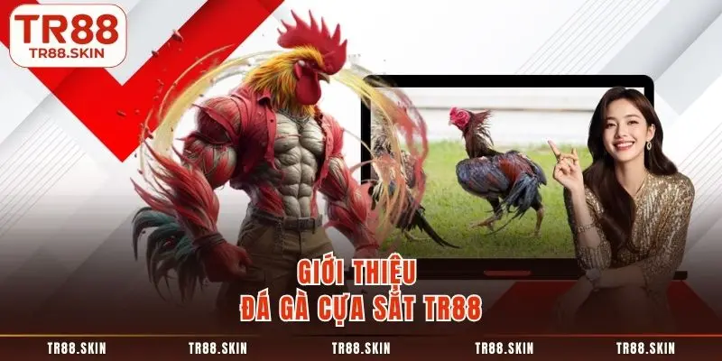 Giới thiệu đá gà cựa sắt tr88