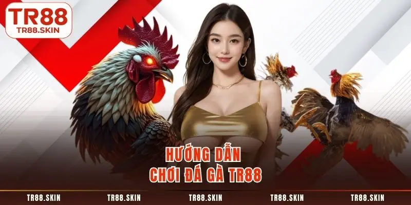 Hướng dẫn chơi đá gà tr88
