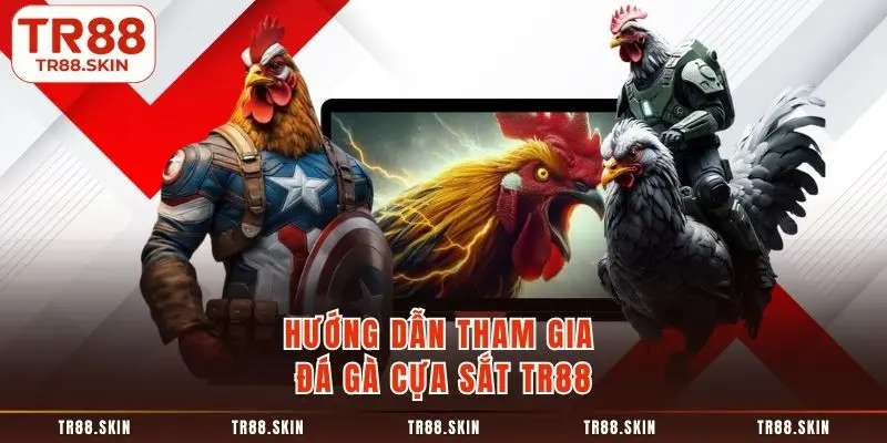 Hướng dẫn tham gia đá gà cựa sắt tr88