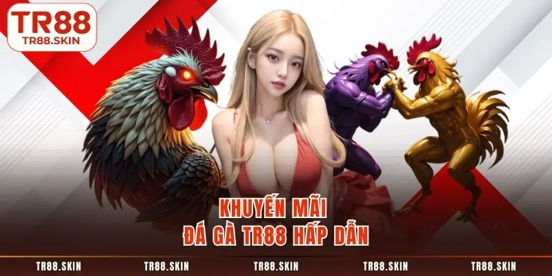 Khuyến mãi đá gà tr88 hấp dẫn