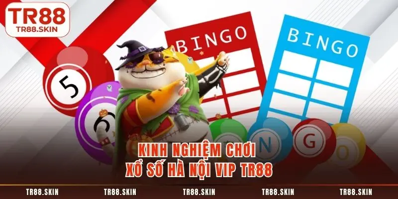 Kinh nghiệm chơi xổ số hà nội vip tr88