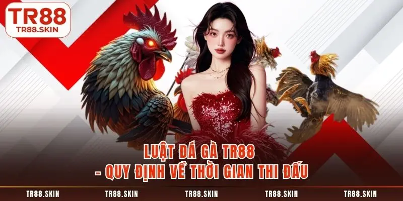 Luật đá gà tr88 quy định về thời gian thi đấu