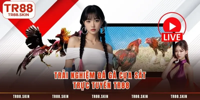 Trải nghiệm đá gà cựa sắt trực tuyến tr88